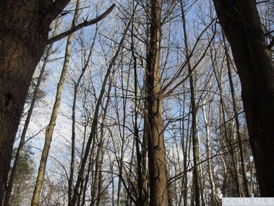 3 Hawthorne Hill Rd, New Lebanon, NY 12125 - photo 6