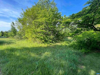 247 Roberts Ridge Ln, Nellysford, VA 22958 - photo 3