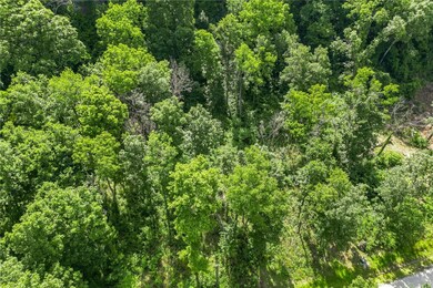 Lot 4 Significance Summit, Harrison, AR 72601 - photo 6