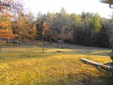 Part of Back Yard