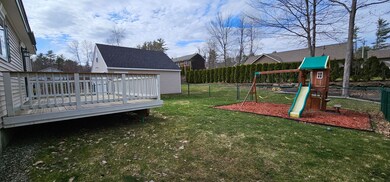 03. Backyard