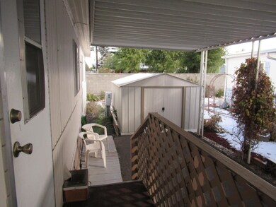 Back Door Shed
