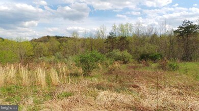 13 Amulet Dr, Berkeley Springs, WV 25411 - photo 6