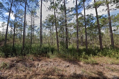 0 35th Ave unit 663601, Milton, FL 32583 - photo 3