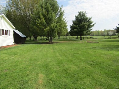 manicured lawn
