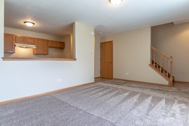 1906 Cherrywood Ct unit 1906, Joliet, IL 60435 - photo 7