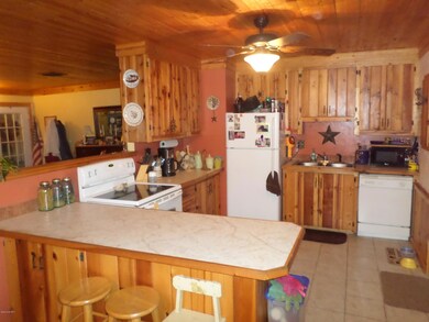 Kitchen View 1