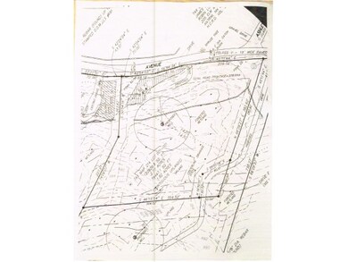 Wooded Lot