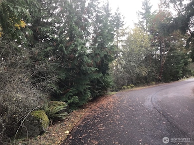 11939 New Morning Dr, Anacortes, WA 98221 - photo 7