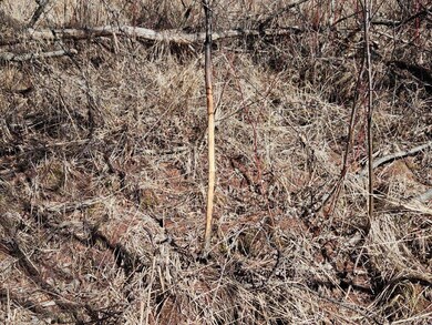 TBD 360th St, Shevlin, MN 56676 - photo 6