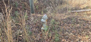 00001 Matt Hwy, Ball Ground, GA 30107 - photo 3