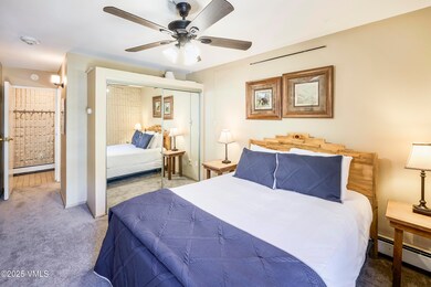 521 E Lionshead Cir unit 503, Vail, CO 81657 - photo 6