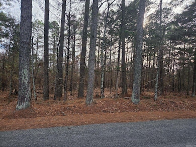 14 acres off Verkler Ln, Searcy, AR 72143 - photo 5