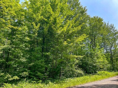 4 Millie Rd, Tomahawk, WI 54487 - photo 2