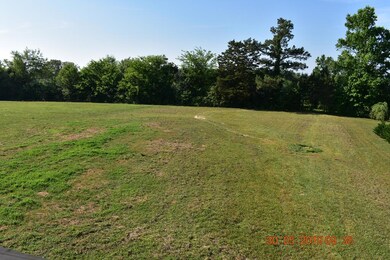 Level back yard