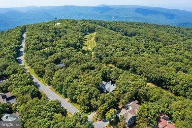 967 Devils Knob Loop, Wintergreen Resort, VA 22967 - photo 7