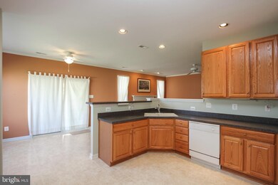 4 Goldenrod Dr, Georgetown, DE 19947 - photo 6