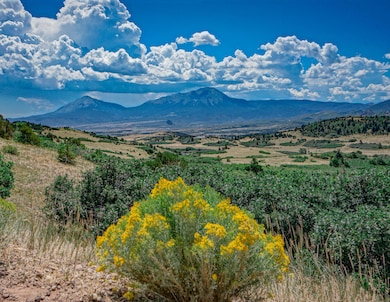 View from RV Site - Spanish Peaks