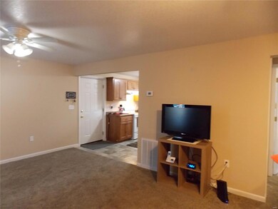 37 County Road 4681, Poplar Bluff, MO 63901 - photo 5