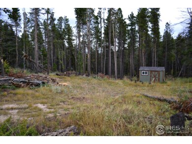 0 Crystal Mountain Rd unit 834134, Bellvue, CO 80512 - photo 6