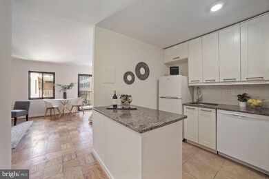 Webster House unit 309, Washington, DC 20036 - photo 4