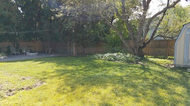 04. Backyard