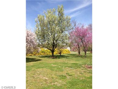 Yard/Garden - Yard is starting to bloom with beaut