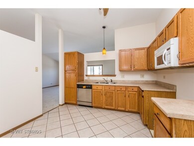 4 Cloverdale Ct unit 4055, Algonquin, IL 60102 - photo 3