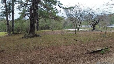 Tract B & C P Griffin Rd, Kentwood, LA 70444 - photo 2