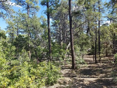 850 S Barberry Lane