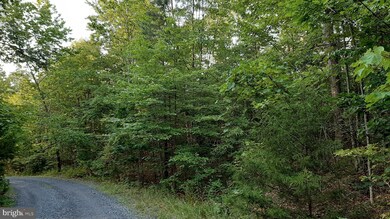 0 Brush Leaf Ln unit VASH121548, Mount Jackson, VA 22842 - photo 7