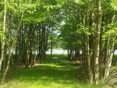 383 N Shore Dr, Albrightsville, PA 18210 - photo 4