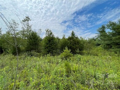 00 Damascus Church Rd, Statesville, NC 28625 - photo 7