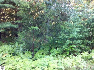 N/A Huron Breeze Drive Lot 47 unit 47, Au Gres, MI 48703 - photo 2