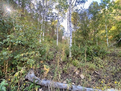 111 Upper Whittemore Dr unit 111, Springville, UT 84663 - photo 6