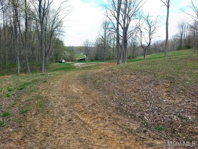 0 Henrie Ln unit M239703, Williamstown, WV 26187 - photo 5