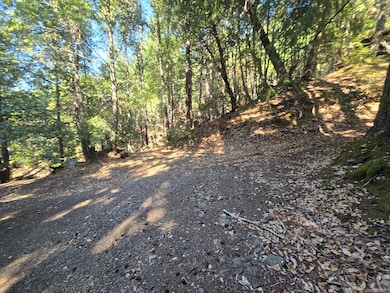 000 Panther Gap Rd, Honeydew, CA 95545 - photo 3