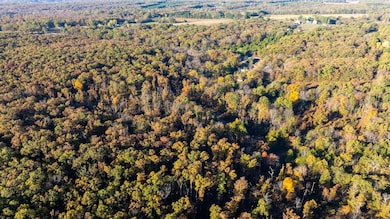 Oak Forest Rd, Bland, MO 65014 - photo 5