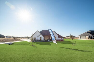 169 Coalson Crossing, Azle, TX 76020 - photo 4