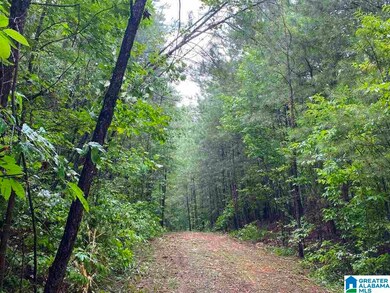 0 County Road 99 unit 39 Acres 1293078, Wedowee, AL 36278 - photo 5