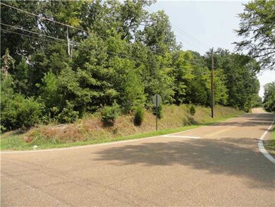 View of property looking east on Monterey Rd.