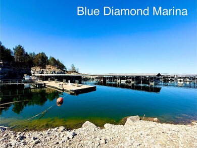 000 Canmore Dr, Briarcliff, AR 72653 - photo 3