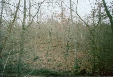 0 Esperson Rd unit 1079216, Rogers, AR 72756 - photo 4