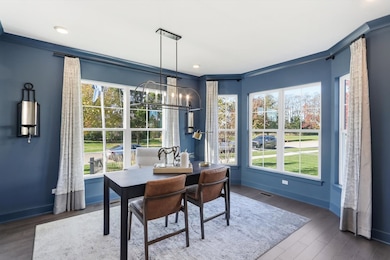 110 39th St, Downers Grove, IL 60515 - photo 3