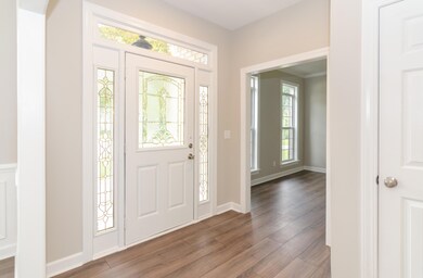 Kingfisher Listing-11