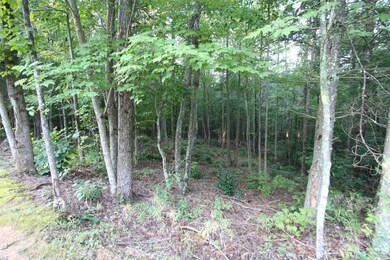 TBD Poplar Bluff Dr unit 41, Lenoir, NC 28645 - photo 4