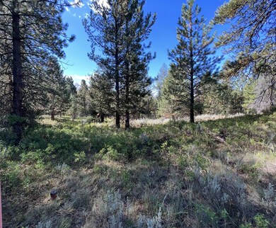 1909 Gold Dust Rd unit 60, Cascade, ID 83611 - photo 6