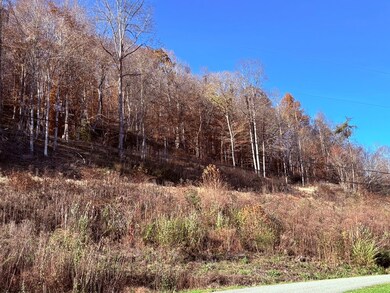 0 None unit 126826, Hager Hill, KY 41222 - photo 5