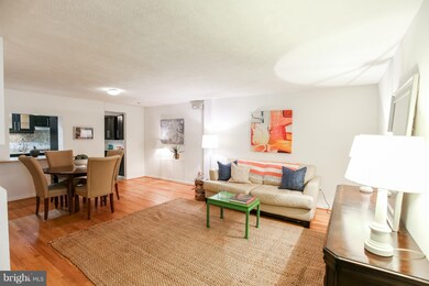 1669 Columbia Rd NW unit T-2, Washington, DC 20009 - photo 3