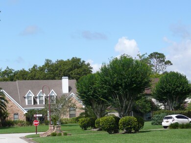Beautiful Neighborhood